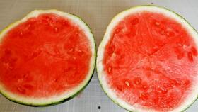 黑料吃瓜网apk普通安装 