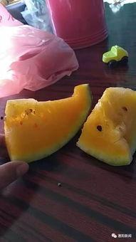 黑料吃瓜网apk普通安装 