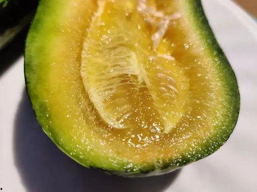 黑料吃瓜网apk普通安装